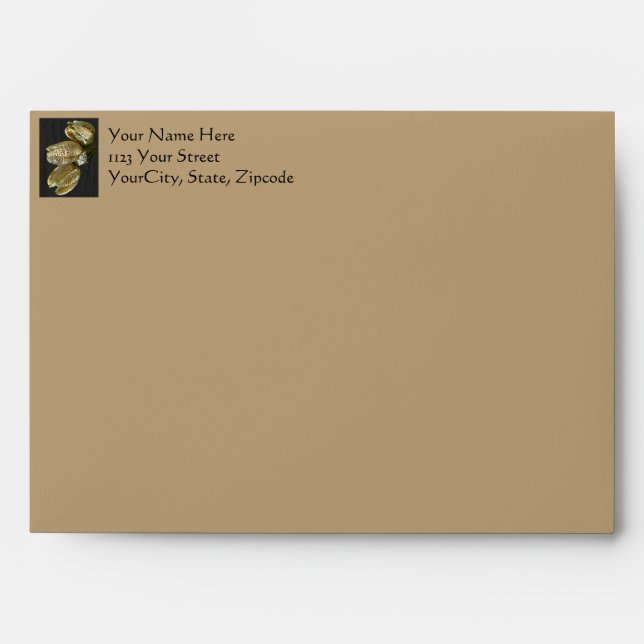 Dried Lily Seed Pods Envelopes (Front)