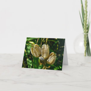 Dried Lily Seed Pods Note Card