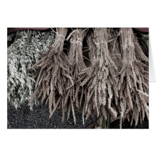 Dried Plants for Decorating