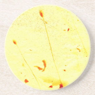 Dried poppy stalks sunprint coaster