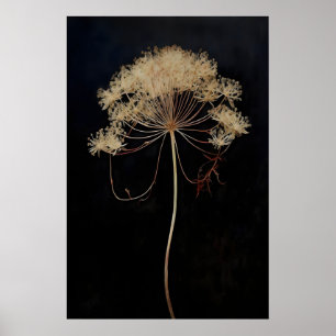 Dried Queen's Lace Flower Dark Academia, Dark Poster