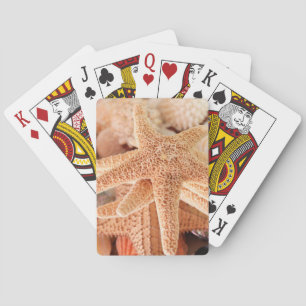 Dried sea stars sold as souvenirs 2 playing cards