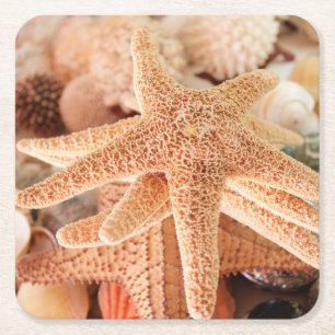 Dried sea stars sold as souvenirs 2 square paper coaster