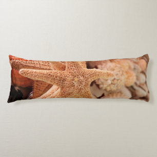 Dried sea stars sold as souvenirs body cushion