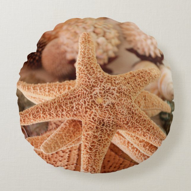 Dried sea stars sold as souvenirs round cushion (Front)