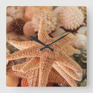 Dried sea stars sold as souvenirs square wall clock