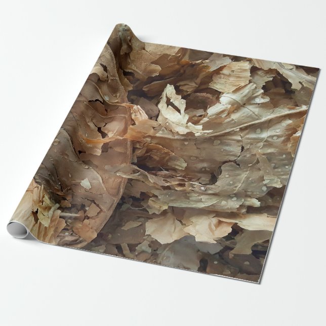 Dried tobacco leaves wrapping paper (Unrolled)