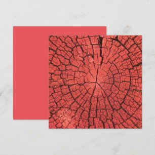 Dried Tree Log Cutaway Pinkish Red Wood Photo Card