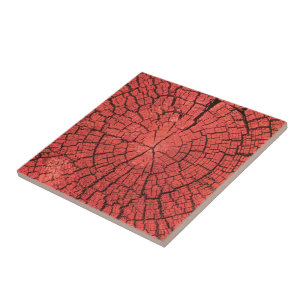 Dried Tree Log Cutaway Pinkish Red Wood Photo Tile