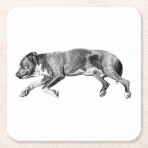 Drift into Calm – Detailed Dog Slumber Square Paper Coaster