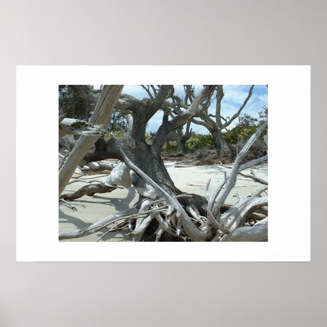 Drift Poster (Front)