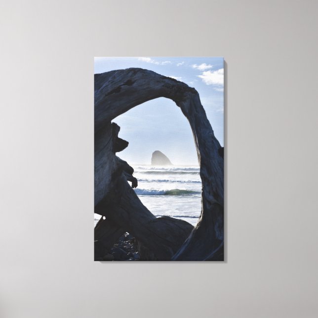 Drift wood frame, Cape Mears Canvas Print (Front)