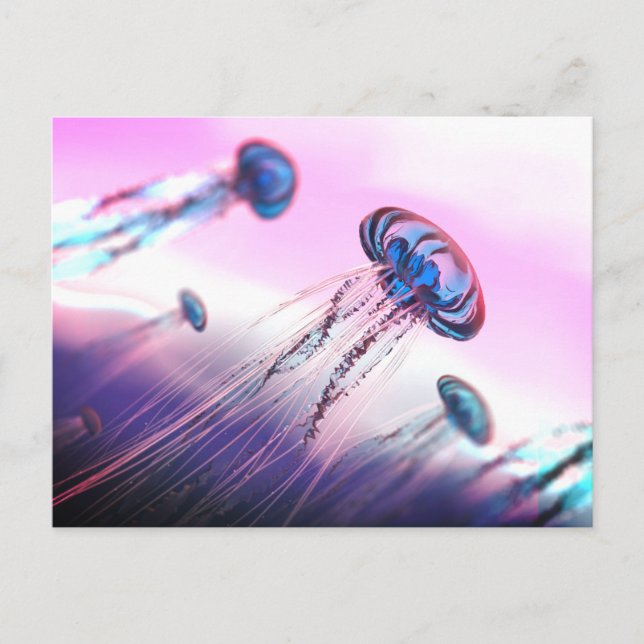 Drifting Along Postcard (Front)