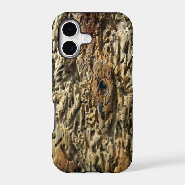 Driftwood (Back)