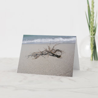 driftwood1 card