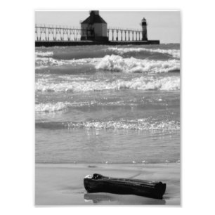 Driftwood 2 photo print