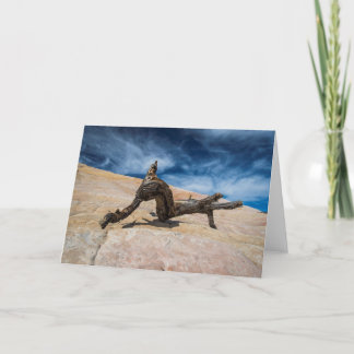 Driftwood And Blue Sky Card
