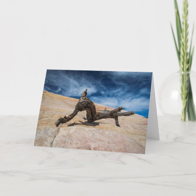 Driftwood And Blue Sky Card (Front)