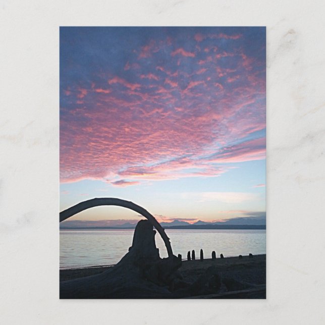 Driftwood Arch Sunset Postcard (Front)