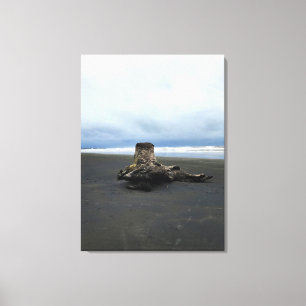 Driftwood at Benson Beach, Cape Disappointment, WA Canvas Print