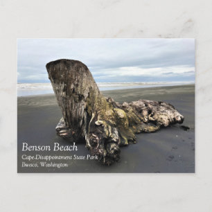 Driftwood at Benson Beach, Cape Disappointment, WA Postcard