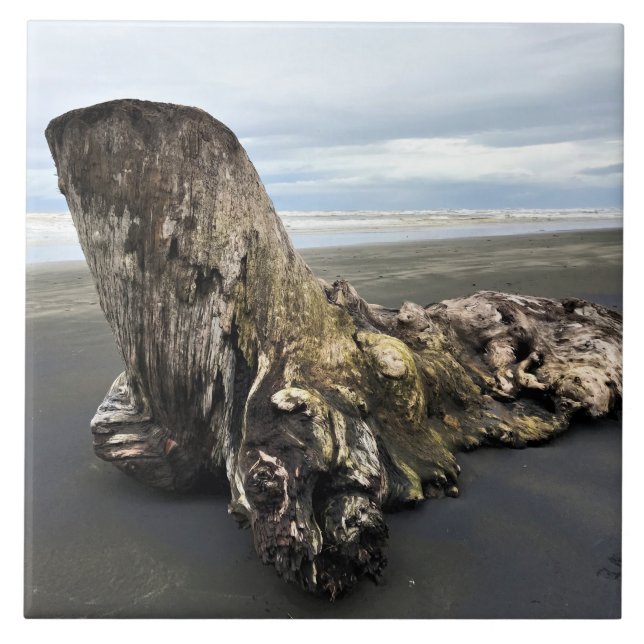 Driftwood at Benson Beach, Cape Disappointment, WA Tile (Front)