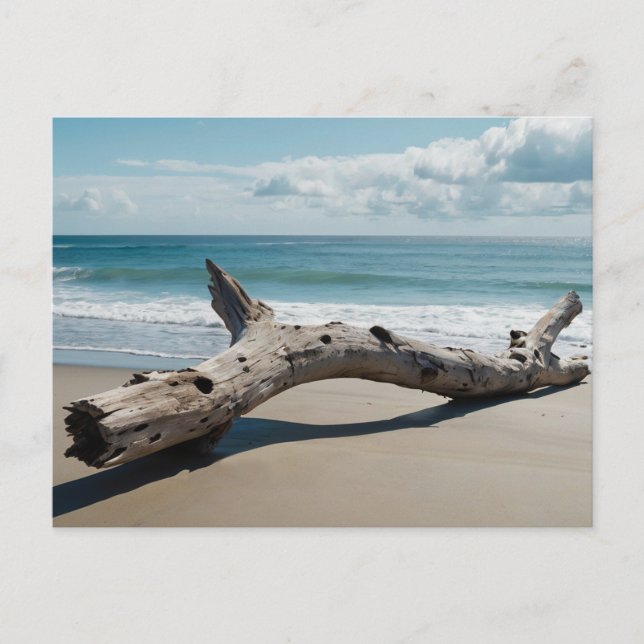 Driftwood Beach Holiday Postcard (Front)