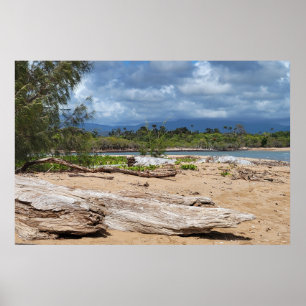 Driftwood Beach Scene Poster