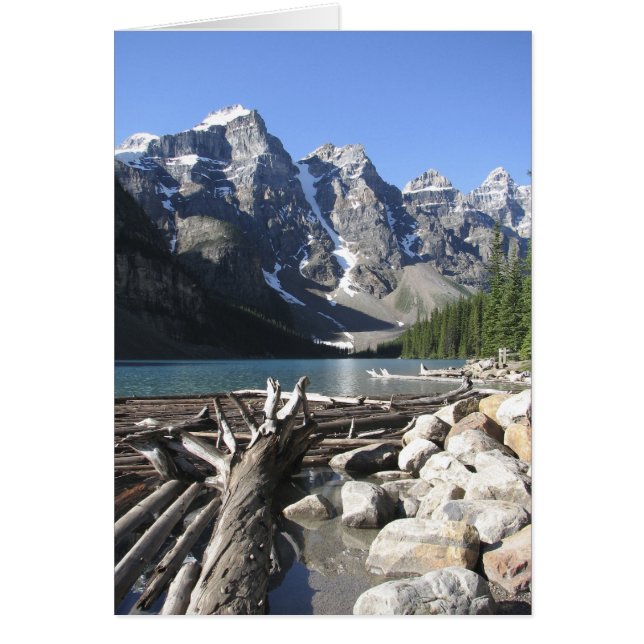 Driftwood, Blank Greeting Card (Front)