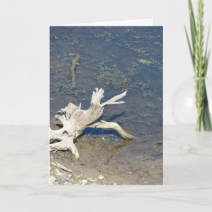 Driftwood Card