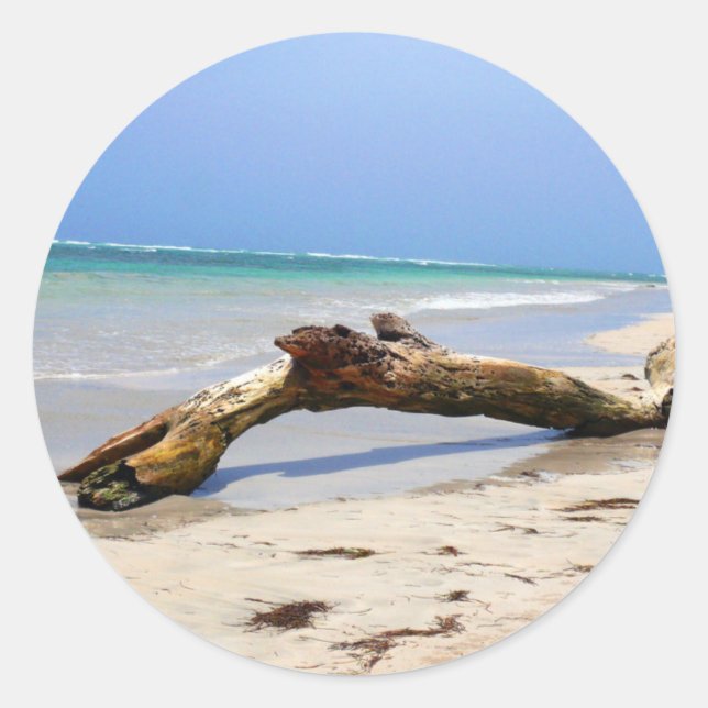 Driftwood Classic Round Sticker (Front)