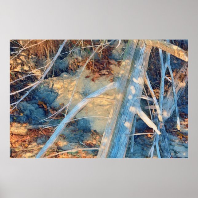 Driftwood in Dappled Sunlight: Poster (Front)