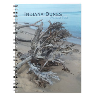 Driftwood Indiana Dunes National Park Magnet Post Notebook