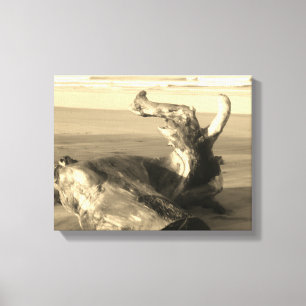 Driftwood Log Costa Rica Beach Photo  Canvas Print