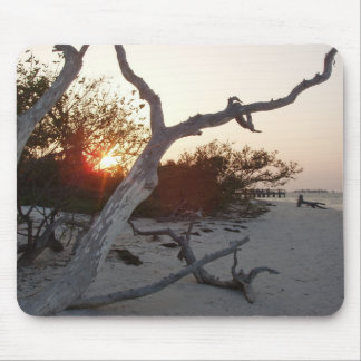 Driftwood on beach with sunset mouse pad