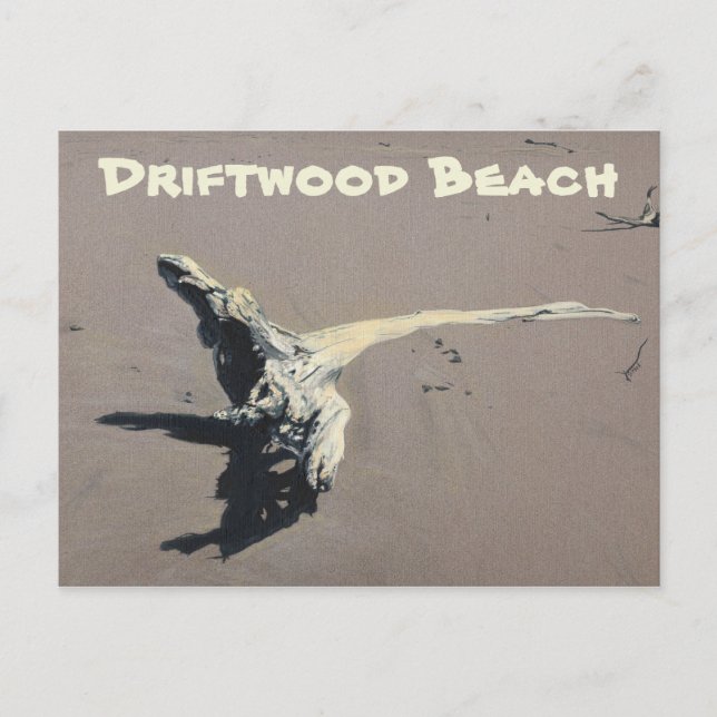 Driftwood on the Beach Postcard (Front)