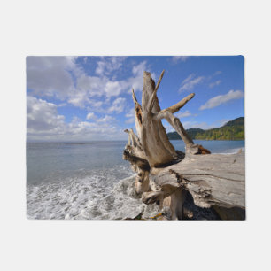 Driftwood On The Shoreline Of French Beach Doormat