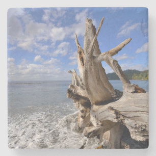 Driftwood On The Shoreline Of French Beach Stone Coaster