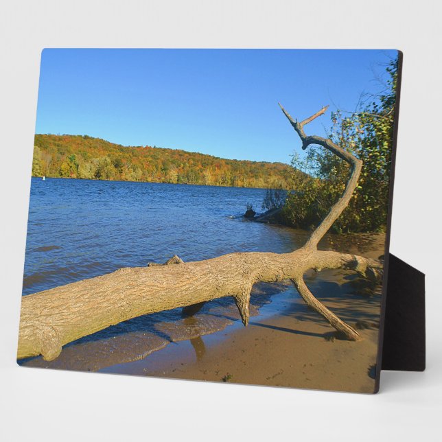 Driftwood Plaque (Side)