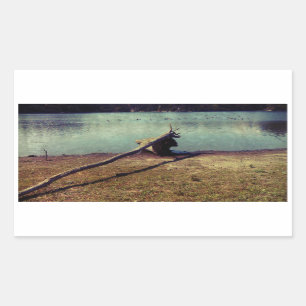 Driftwood Rectangular Sticker