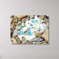 Driftwood Rock Garden Canvas art Seashells Beach