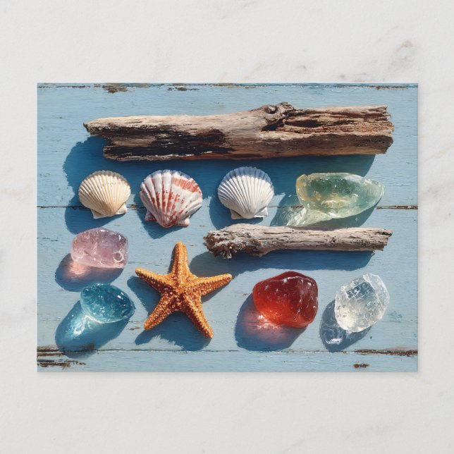 Driftwood Seashells Starfish and Sea Glass Postcard (Front)