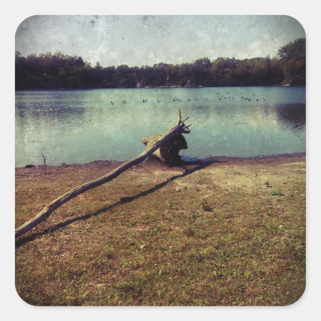 Driftwood Square Sticker (Front)