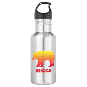 Driggs Idaho Rainbow Bear 532 Ml Water Bottle