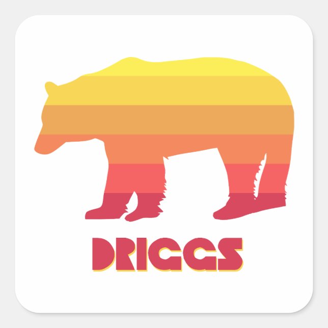 Driggs Idaho Rainbow Bear Square Sticker (Front)