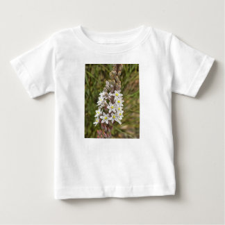 Drimia Maritima Or Island Onion Art Baby T-Shirt