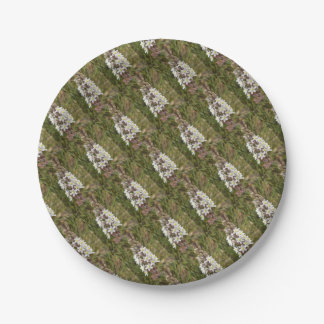 Drimia Maritima Or Island Onion Art Paper Plate