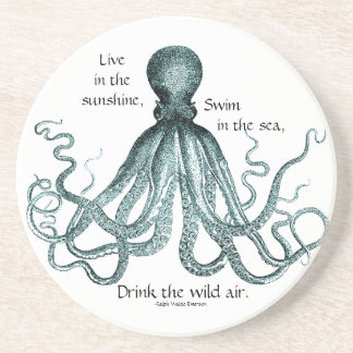 Drink the Wild Air Coaster
