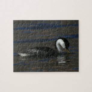 Drinking Grebe Jigsaw Puzzle