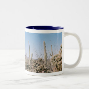 Drinking Mug Arizona Sonoran Desert Panoramic Pic